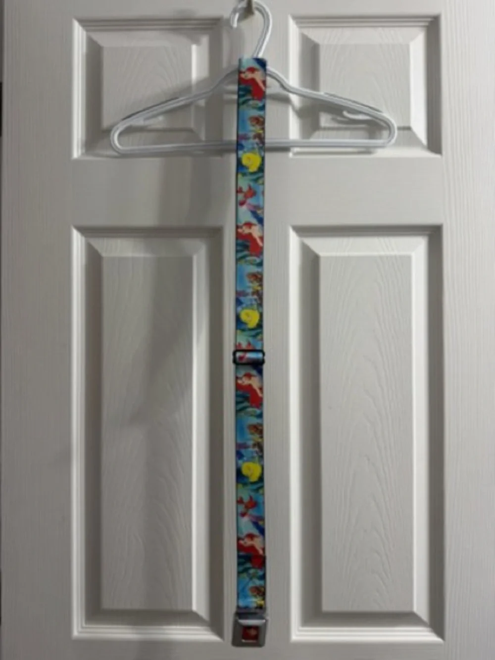 Buckle-Down Ariel Seatbelt Strap in Red & Aqua